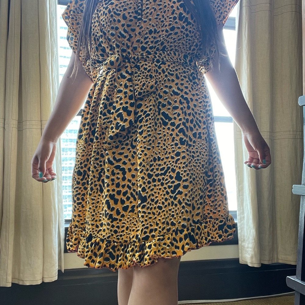 Leopard Print Dress